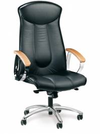 Кресло офисное Ares Line Office, 9115
