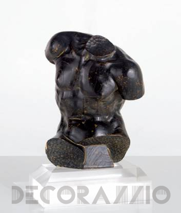 Chelini 205 - FOS0 205_1
