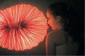 Светильник  потолочный/настенный накладной Aqua Creations Morning Glory Collection, Coral