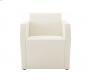 Кресло Ligne Roset Simple bridge - S.br.pol.1