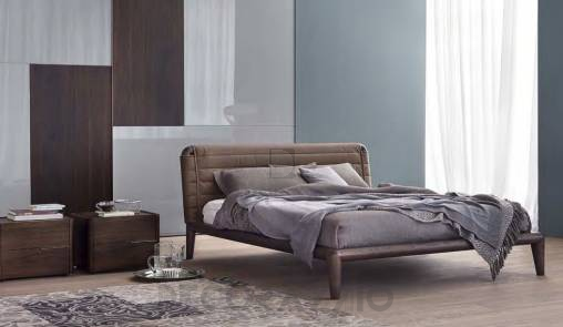 Olivieri Tube - LE430-N.1