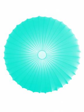 Светильник  потолочный/настенный накладной (Бра)