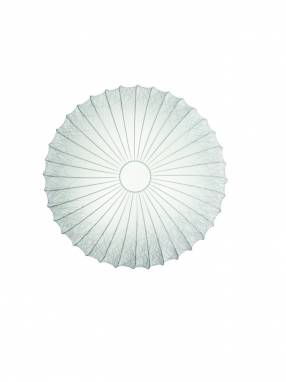 Светильник  потолочный/настенный накладной (Бра)