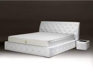  Satis Lisa, 39538-1