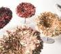 Кресло Moroso Bouquet - &nbsp;B005