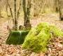 Табурет Moroso The fool of the hill - The fool of the hill