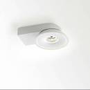 Светильник  потолочный накладной (Светильник потолочный)