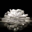 Светильник  настольный (Настольная лампа)