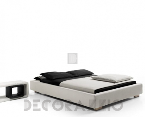 Pinton CHARLIE - CHis252.1