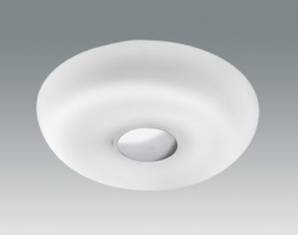 Светильник  потолочный накладной Fabas Luce 2846-63-102, 2846-63-102