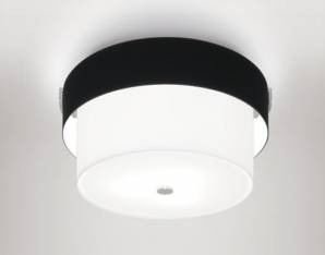 Светильник  потолочный накладной Idl 9000-48PF, 9000-48PF