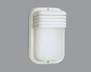 Светильник уличный настенный накладной Boluce 9051.00X, 9051.00X