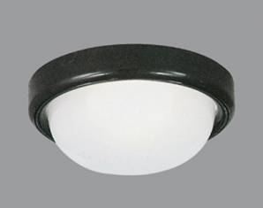 Светильник уличный потолочный накладной Boluce 0860.00X, 0860.00X