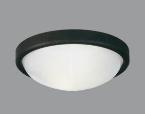 Светильник уличный потолочный накладной Boluce 0859.00X, 0859.00X