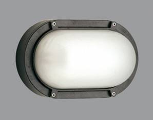 Светильник уличный настенный накладной Boluce 4021.00X, 4021.00X