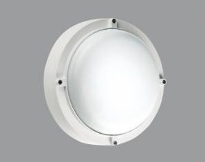 Светильник уличный потолочный/настенный накладной Boluce 3019.96X, 3019.96X