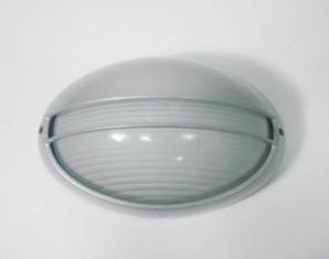 Светильник уличный настенный накладной Faro 71555, 71555