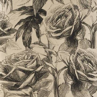 Обои Clarke&Clarke Floribunda - W0037-01