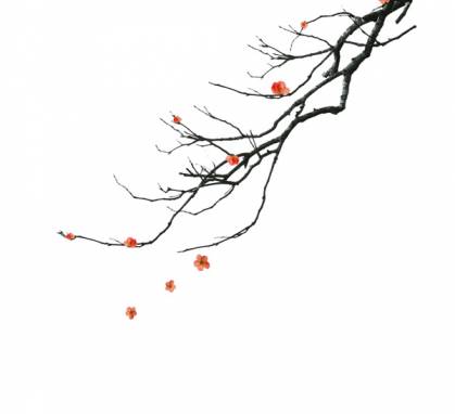Обои