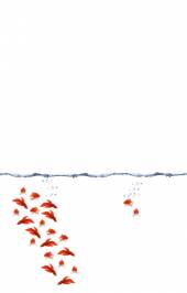 Обои Wall&Deco Life 10, WDMI0802