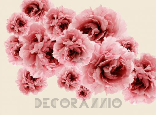 Обои Wall&Deco Life 10 - WDBL0601