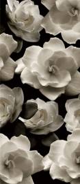 Обои Wall&Deco Life 10, WDBL0602