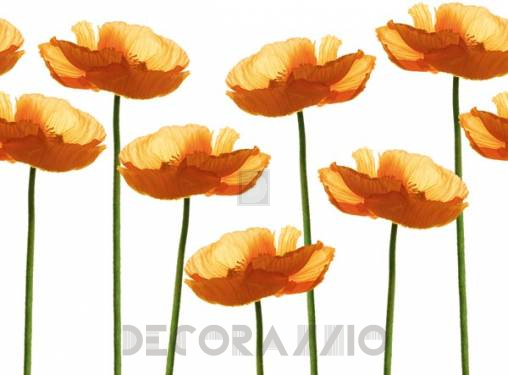 Обои Wall&Deco Life 10 - WDCH0602