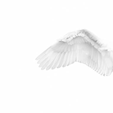 Обои