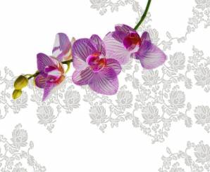 Обои Wall&Deco Giò pagani wallpaper 10, GPW0904 COL1