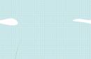 Обои