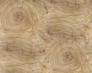 Обои Wall&Deco OUT WET 13, OUTW_LL1301_1