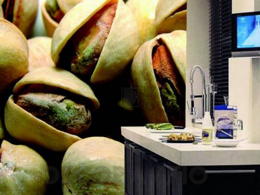 Обои Atlas Wallcoverings Raphael 1 - 1050