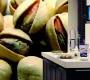 Обои Atlas Wallcoverings Raphael 1 - 1050