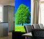 Обои Atlas Wallcoverings Raphael 1 - 1061