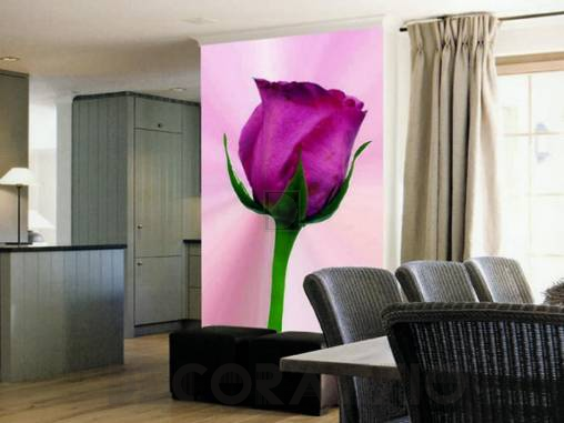 Обои Atlas Wallcoverings Raphael 1 - 1075