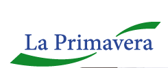 La Primavera La Primavera