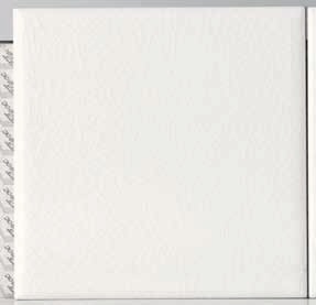 Настенная плитка Petracer's Queen Bianco Neve - Bianco Neve 011