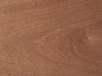 Паркетная доска Tavar Parquet Tradizionali, c_w-64
