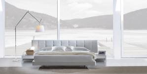  Tagliabue Coral, Coral bed