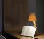 Светильник настольный (Настольная лампа) LZF-Lamps Asterisco - AST MM