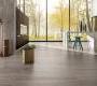 Напольная плитка Ariostea High-Tech Woods Cm2 - rovere-cenere