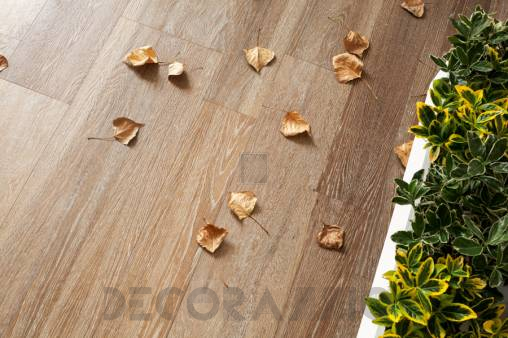 Напольная плитка Ariostea High-Tech Woods - rovere-country