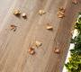 Напольная плитка Ariostea High-Tech Woods - rovere-country