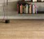 Напольная плитка Ariostea High-Tech Woods Cm2 - rovere-briccola