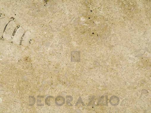 Напольная плитка L'Antic Colonial Limestone - 100066770