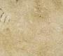 Напольная плитка L'Antic Colonial Limestone - 100066770