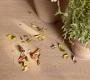 Напольная плитка Marazzi Treverk Outdoor - treverk_outdoor