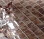 Мозаика Settecento Mosaici - 100400