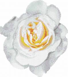 Мозаика Bisazza Pool Mosaics, Pool-Mosaic-ROSA-BIANCO
