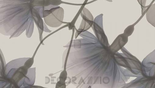 Обои Glamora Visions - GL 1011A